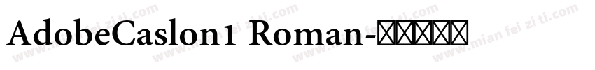 AdobeCaslon1 Roman字体转换